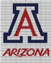Arizona Wildcats 100 x 100