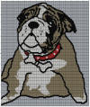 Bulldog Adult 150 x150