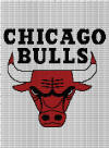 Chicago Bulls 180 x 200