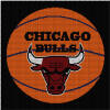 Chicago Bulls 220 x 180