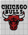Chicago Bulls 60 x 60