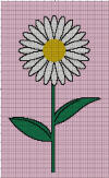 Daisy w/stem 150 x 200