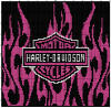 Harley Davidson Flames Pink