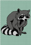 Racoon 190 x 240