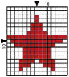 Star 15 x 15