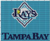 Tampa Bay Rays 90  60