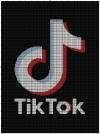 Tik Tok 160 x180