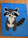 Racoon Baby Blanket